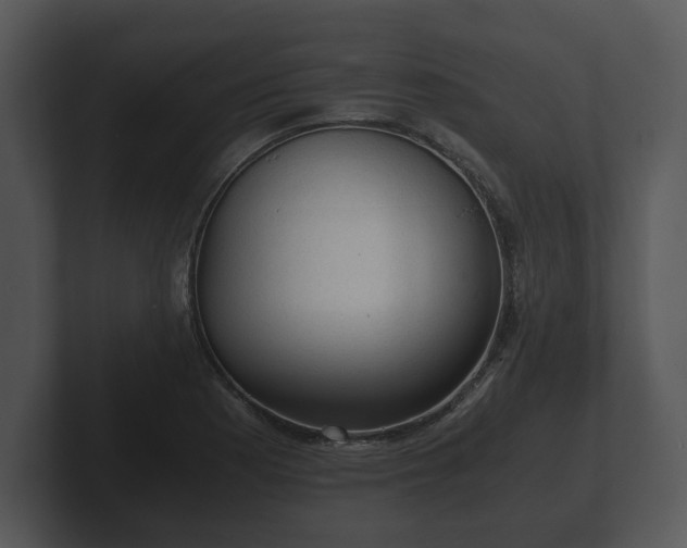 X0000103161177200808291444