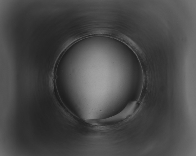 X0000103161178200808291444