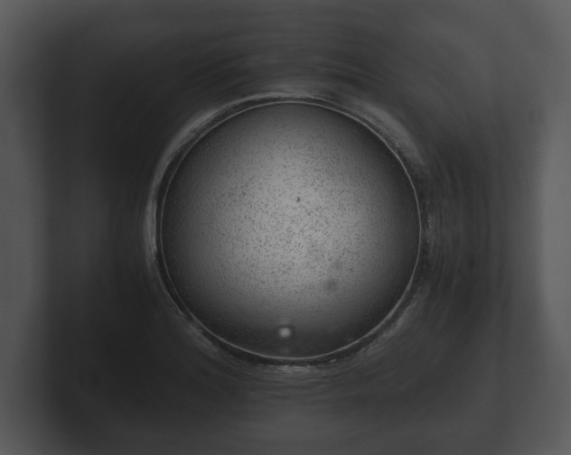 X0000103161180200808291444