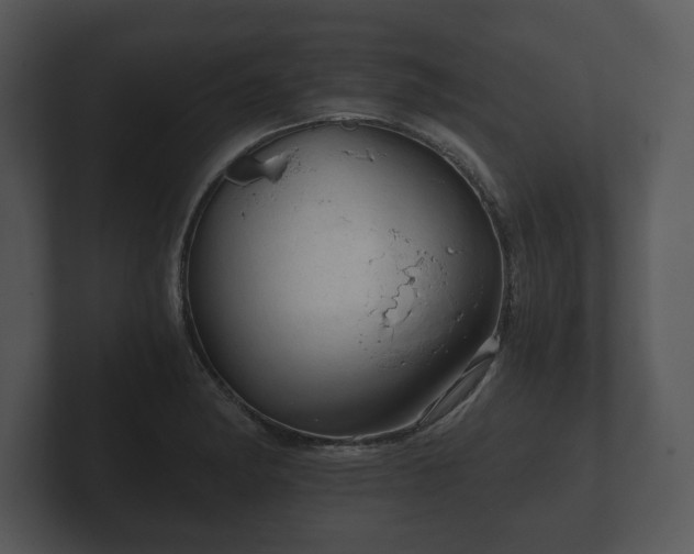 X0000103161182200808291444