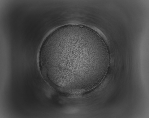 X0000103161183200808291444