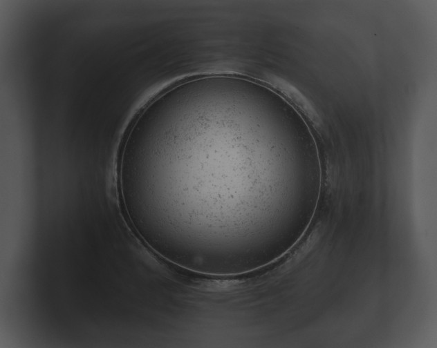 X0000103161184200808291444