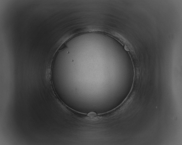 X0000103161185200808291444