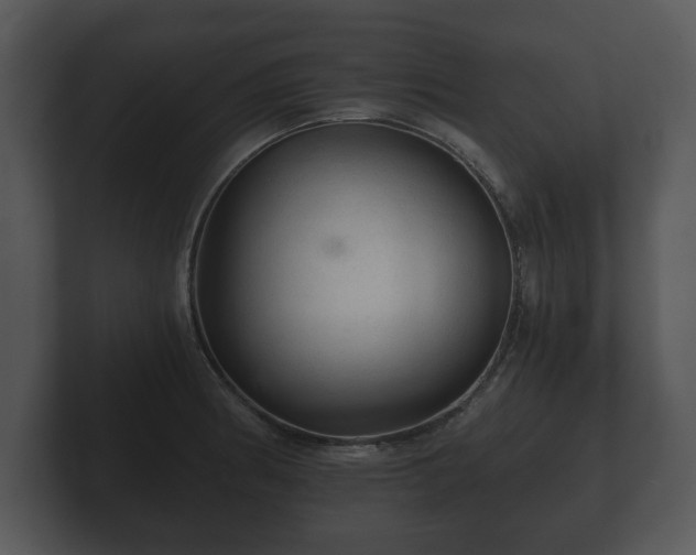 X0000103161186200808291444