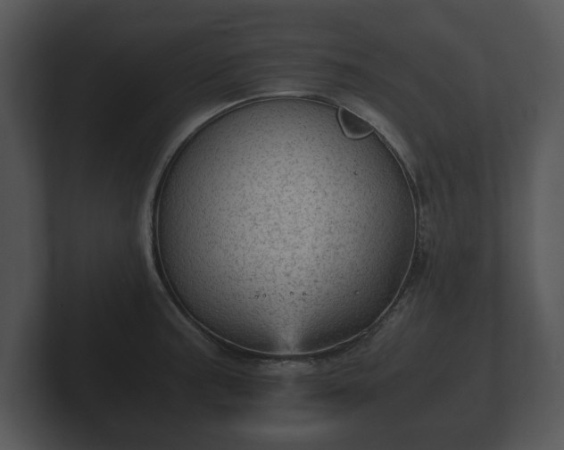 X0000103161187200808291444