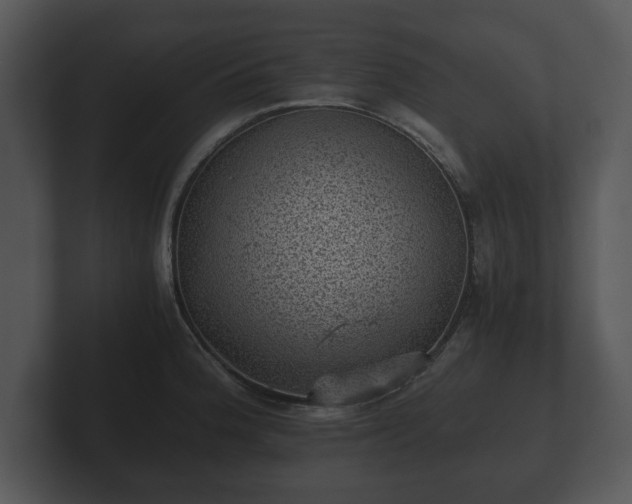 X0000103161188200808291444