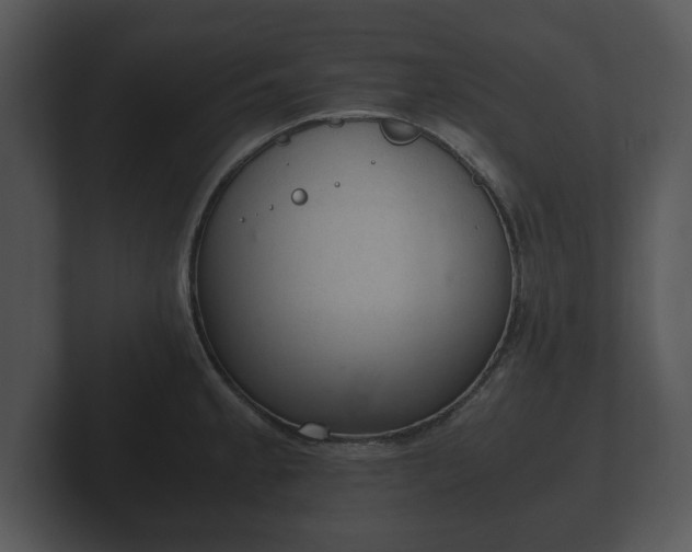 X0000103161189200808291444