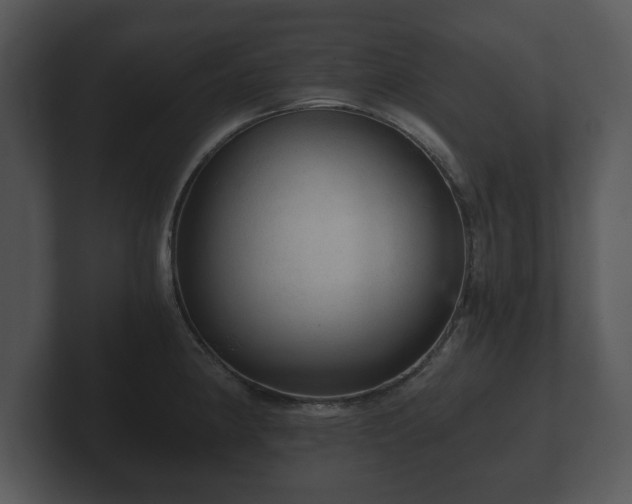 X0000103161190200808291444