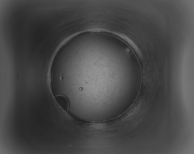 X0000103161191200808291444