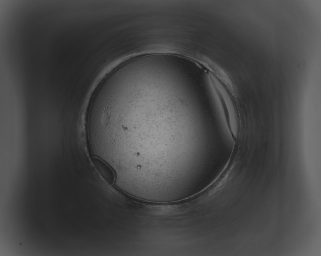 X0000103161192200808291444