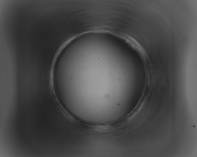 X0000103161196200808291444