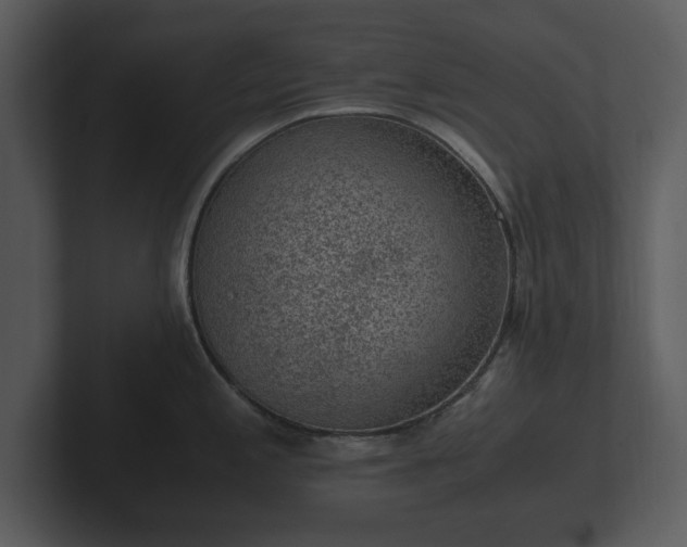 X0000103161197200808291444