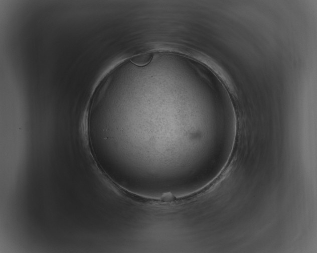 X0000103161198200808291444