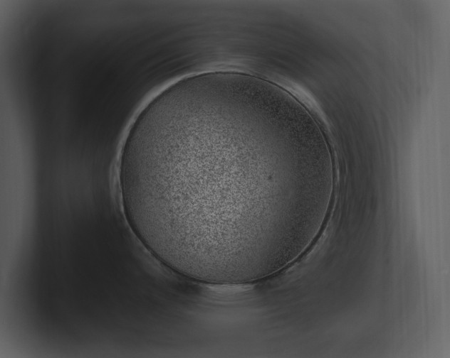 X0000103161200200808291444