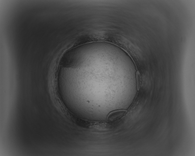 X0000103161201200808291443
