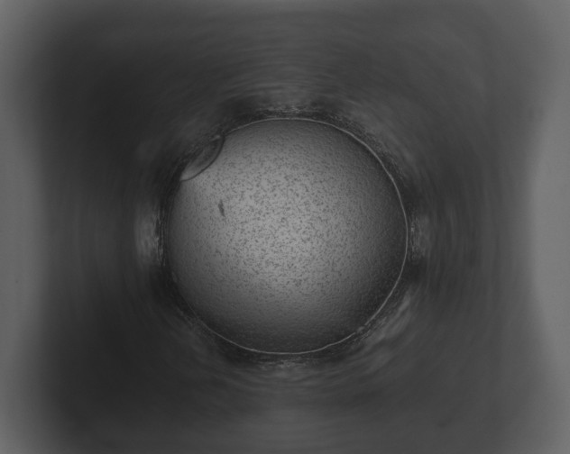 X0000103161202200808291443