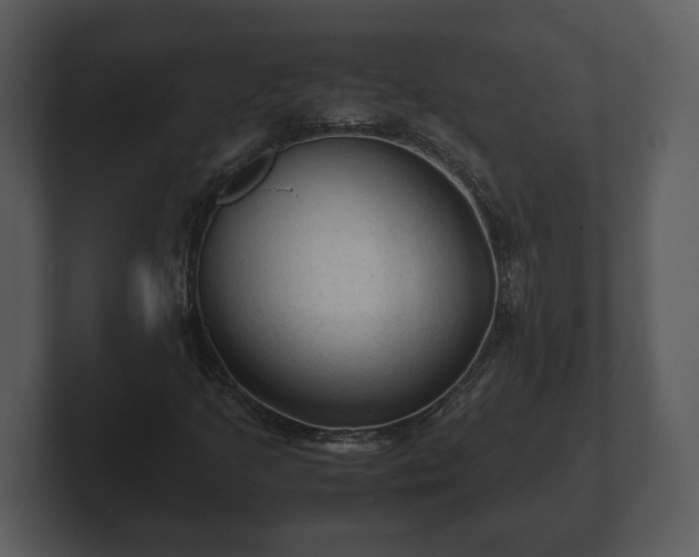 X0000103161205200808291443