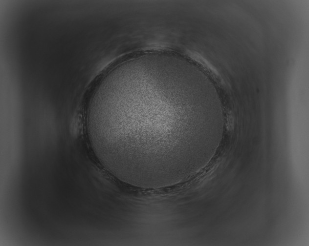 X0000103161208200808291443