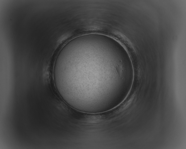 X0000103161210200808291443