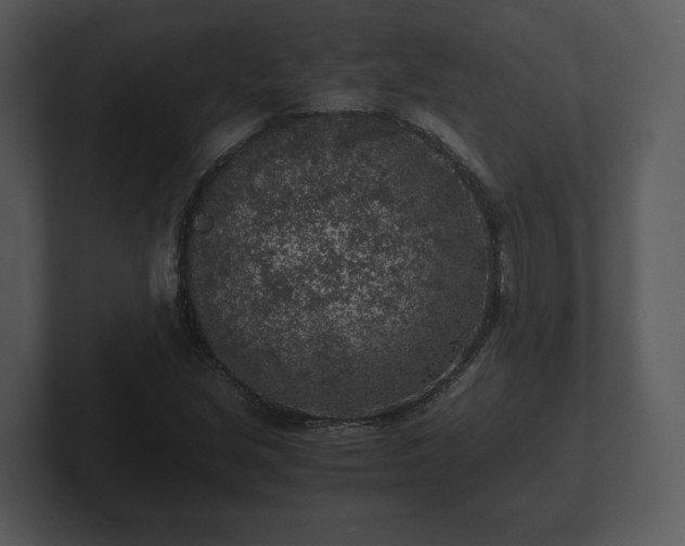X0000103161213200808291443