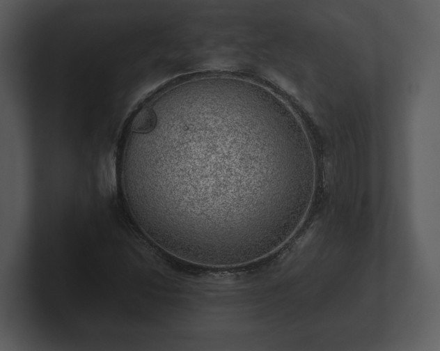 X0000103161214200808291443