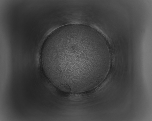 X0000103161215200808291443