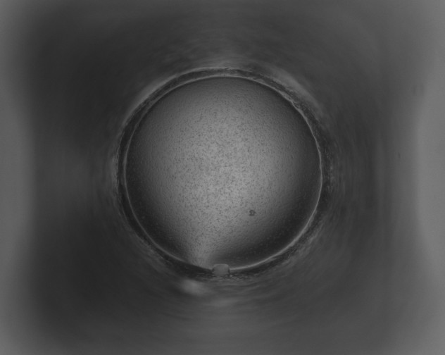 X0000103161216200808291443