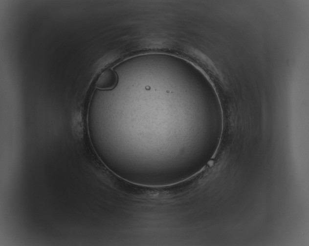 X0000103161218200808291443