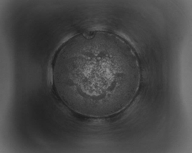 X0000103161219200808291443