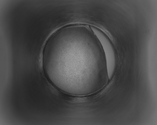 X0000103161224200808291443