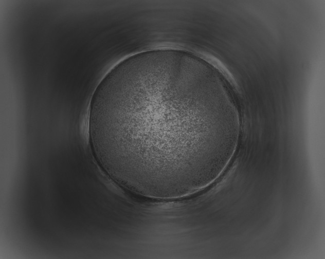 X0000103161228200808291443