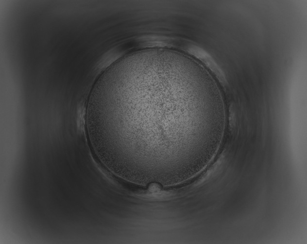 X0000103161233200808291443