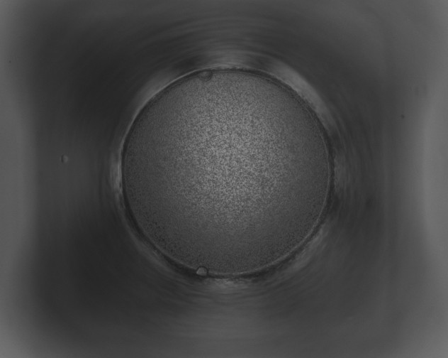 X0000103161234200808291443