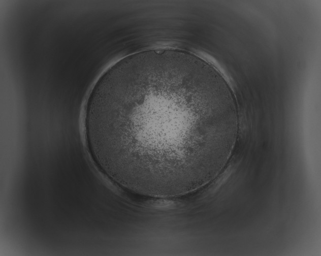 X0000103161235200808291443