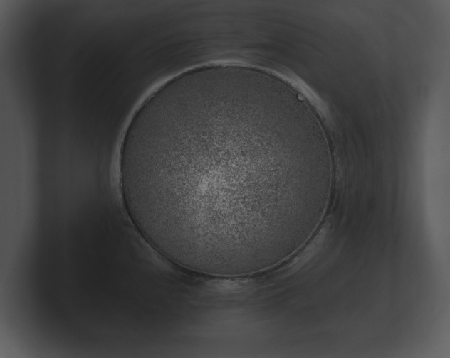 X0000103161240200808291444