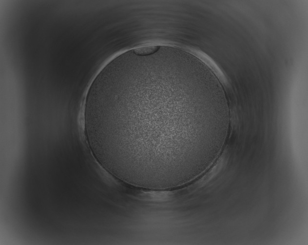 X0000103161244200808291444