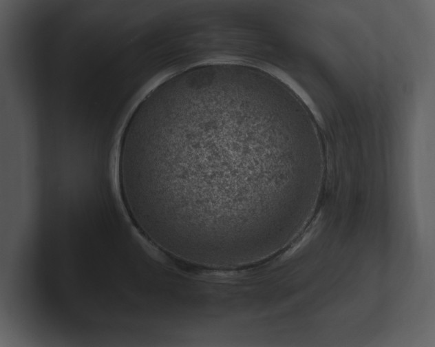 X0000103161245200808291444
