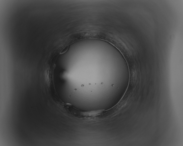 X0000103161250200808291443