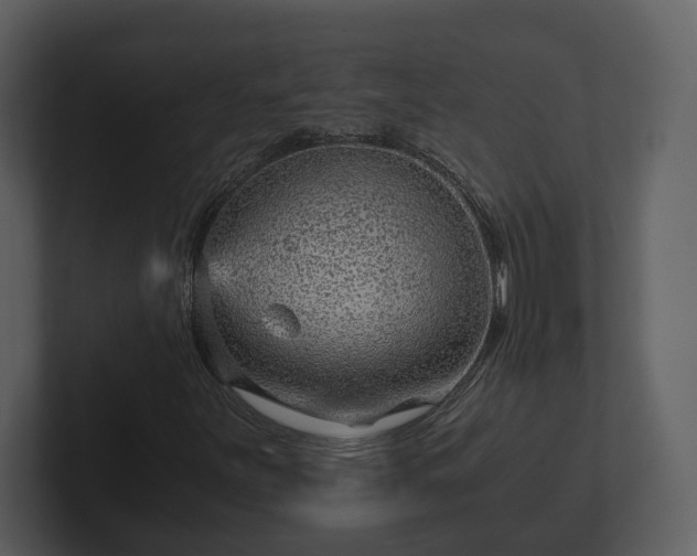 X0000103161251200808291443