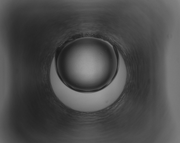 X0000103161252200808291443