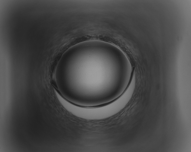 X0000103161253200808291443