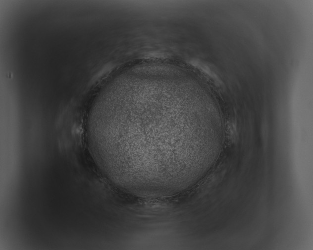X0000103161254200808291443