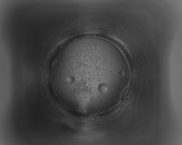 X0000103161255200808291443