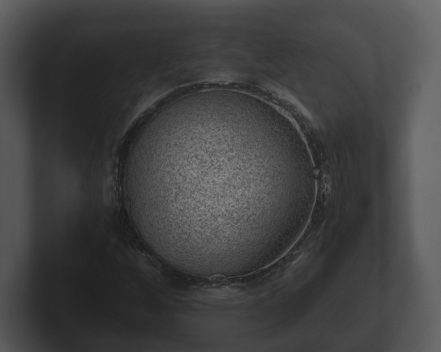 X0000103161256200808291443