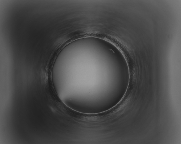 X0000103161257200808291443