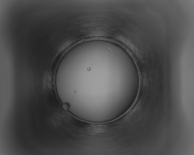 X0000103161258200808291443