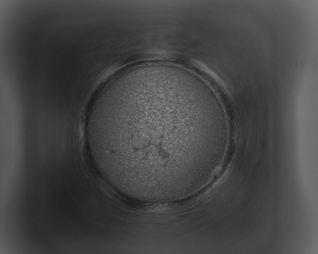 X0000103161259200808291443