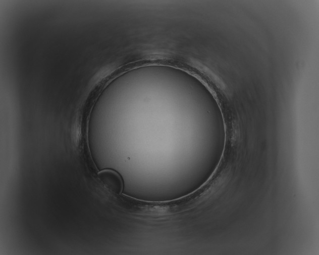 X0000103161261200808291443