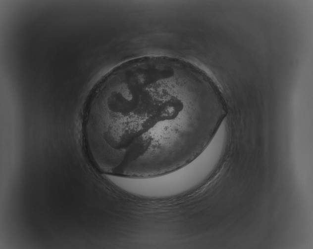 X0000103161263200808291443