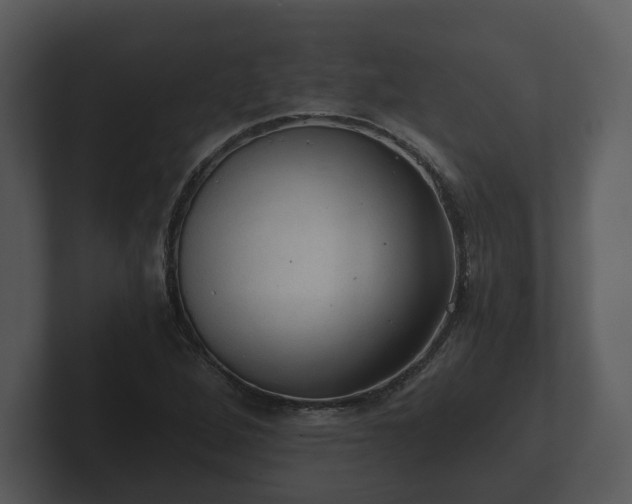 X0000103161264200808291443